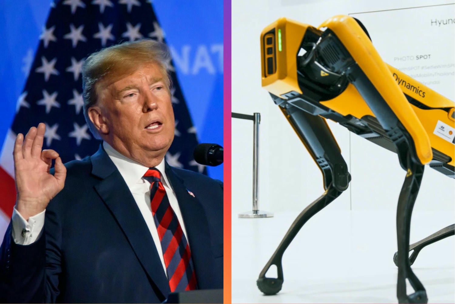 Donald Trump, robotický pes, Spot, Boston Dynamics