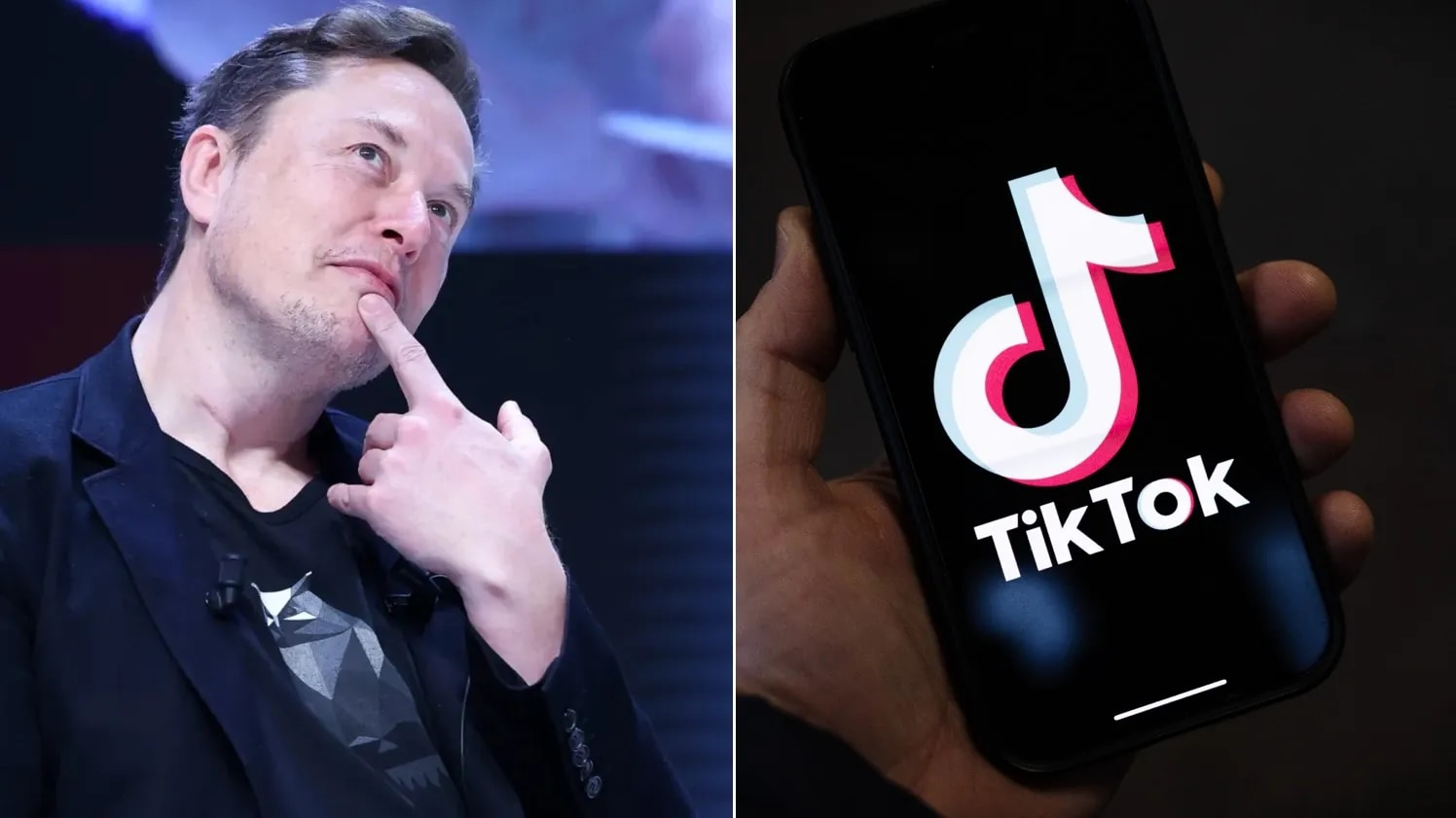 Elon Musk, TikTok